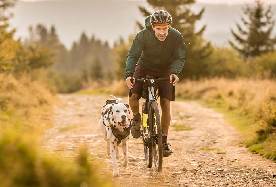 Overnighter-mit-Hund