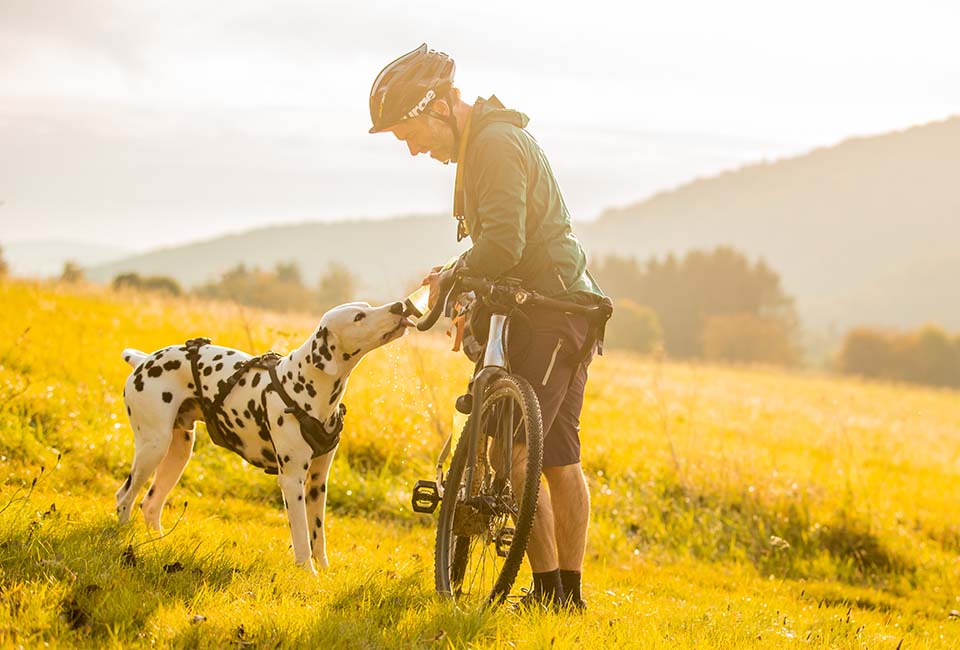 Overnighter-mit-Hund-3