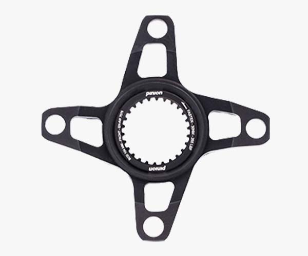 P8105-Spider-Fatbike