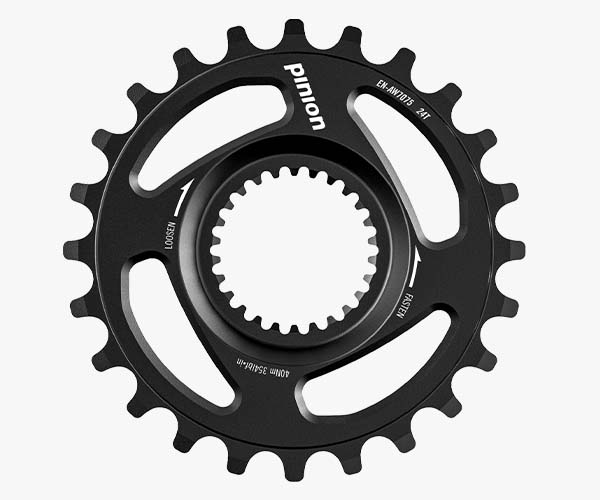 P8124-Getriebe