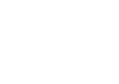 Bulls@4x-8