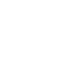 icn-medal